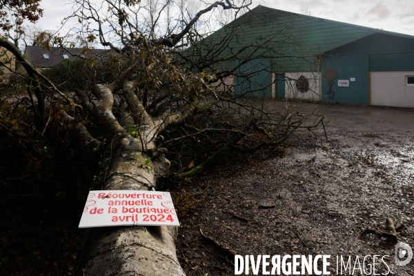 Dégâts agricoles dans le Finistère après la tempête Ciaran