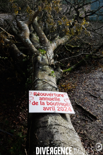 Dégâts agricoles dans le Finistère après la tempête Ciaran