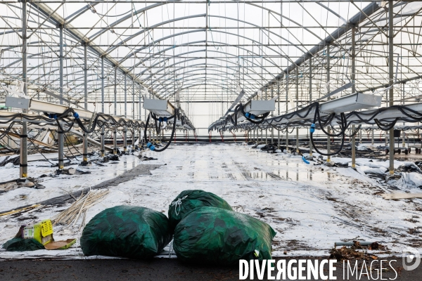 Dégâts agricoles dans le Finistère après la tempête Ciaran