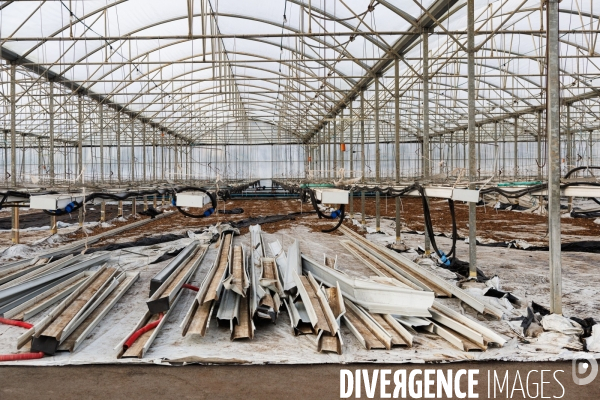 Dégâts agricoles dans le Finistère après la tempête Ciaran
