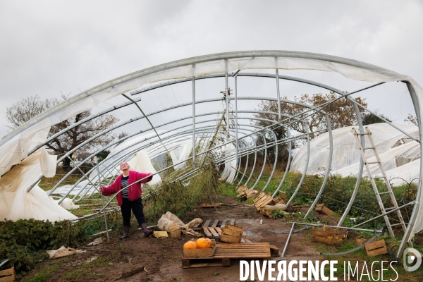 Dégâts agricoles dans le Finistère après la tempête Ciaran
