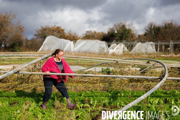 Dégâts agricoles dans le Finistère après la tempête Ciaran