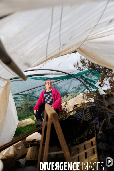 Dégâts agricoles dans le Finistère après la tempête Ciaran