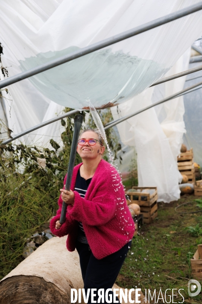 Dégâts agricoles dans le Finistère après la tempête Ciaran