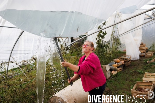 Dégâts agricoles dans le Finistère après la tempête Ciaran