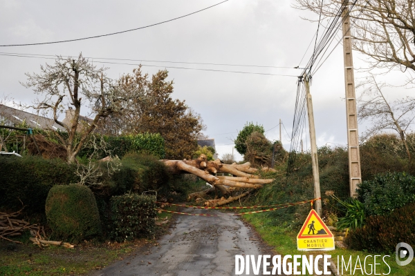 Dégâts agricoles dans le Finistère après la tempête Ciaran