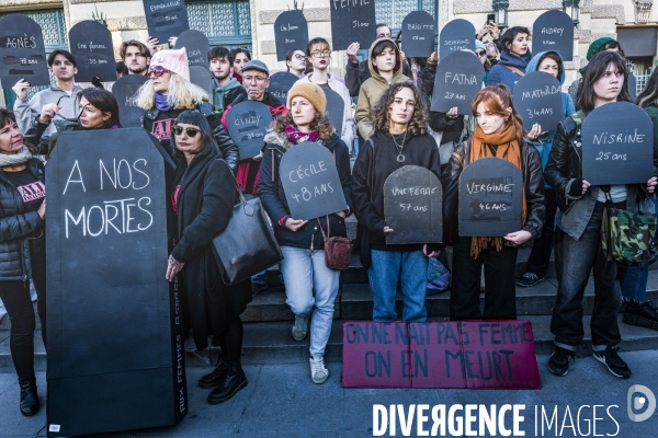 Manifestation contre les Violences faites aux Femmes. Montpellier, 25.11.2023
