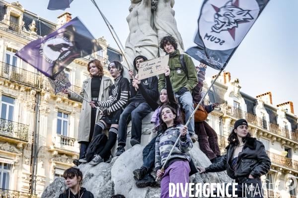 Manifestation contre les Violences faites aux Femmes. Montpellier, 25.11.2023