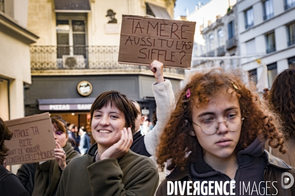 Manifestation contre les Violences faites aux Femmes. Montpellier, 25.11.2023