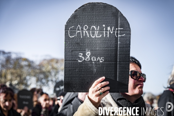 Manifestation contre les Violences faites aux Femmes. Montpellier, 25.11.2023