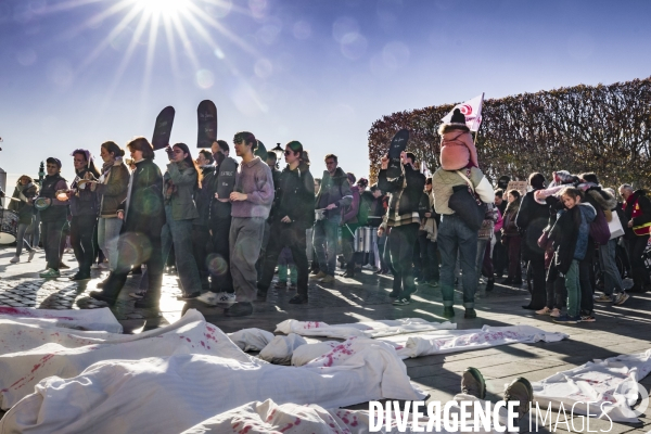 Manifestation contre les Violences faites aux Femmes. Montpellier, 25.11.2023