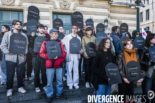 Manifestation contre les Violences faites aux Femmes. Montpellier, 25.11.2023