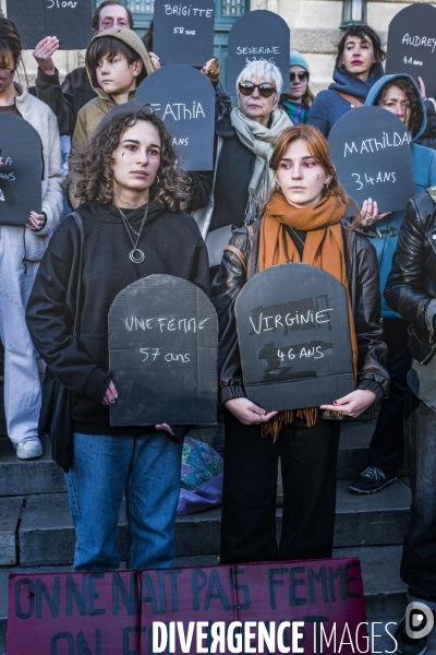 Manifestation contre les Violences faites aux Femmes. Montpellier, 25.11.2023