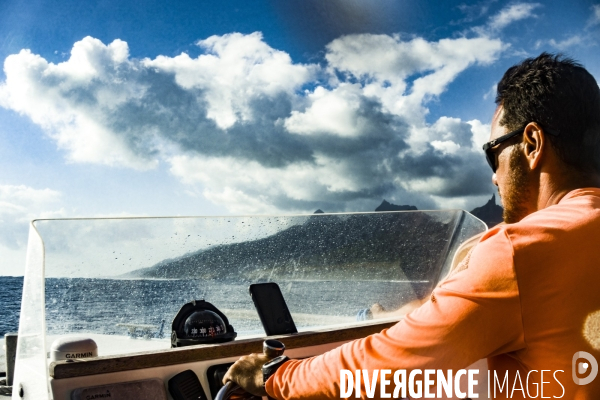 Observation des Baleines a bosse au large de Moorea