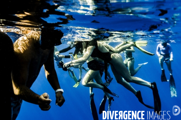 Observation des Baleines a bosse au large de Moorea
