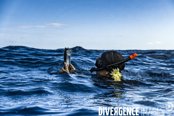 Observation des Baleines a bosse au large de Moorea