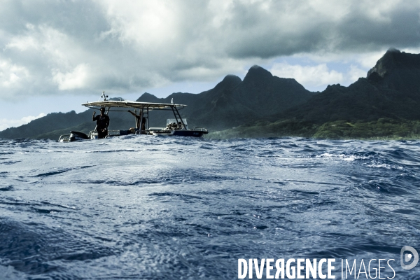 Observation des Baleines a bosse au large de Moorea