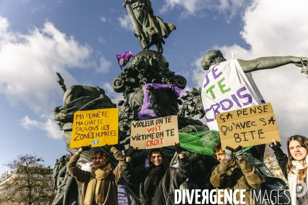 Manifestation contre les violences faites aux femmes