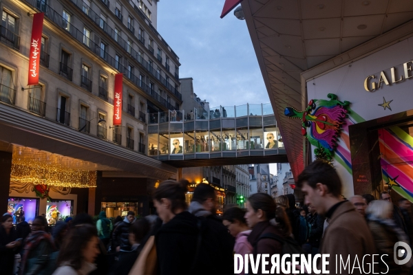 Les grands magasins parisiens . The Parisian department stores