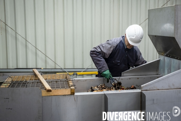 Les Alchimistes, site de production de compostage de dechets alimentaires.