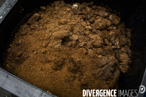 Les Alchimistes, site de production de compostage de dechets alimentaires.