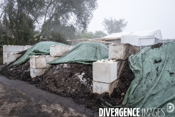 Les Alchimistes, site de production de compostage de dechets alimentaires.