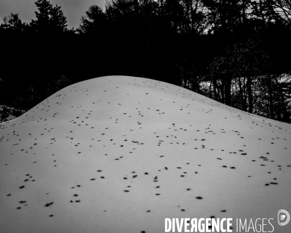 Mon Hiver à l envers #1