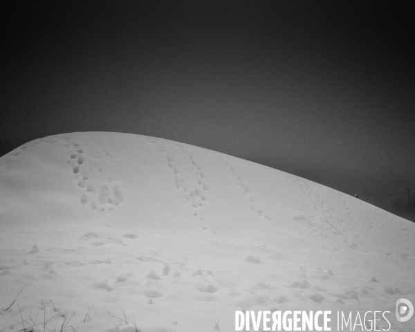 Mon Hiver à l envers #1