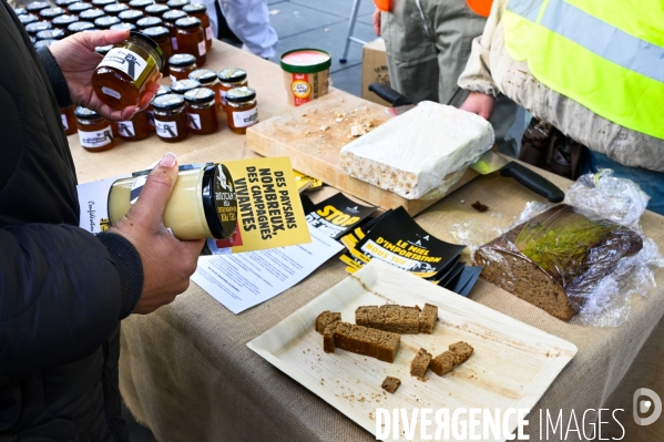 Les apicultrices et apiculteurs en colère manifestent à Paris pour demander des prix rémunérateurs en apiculture.