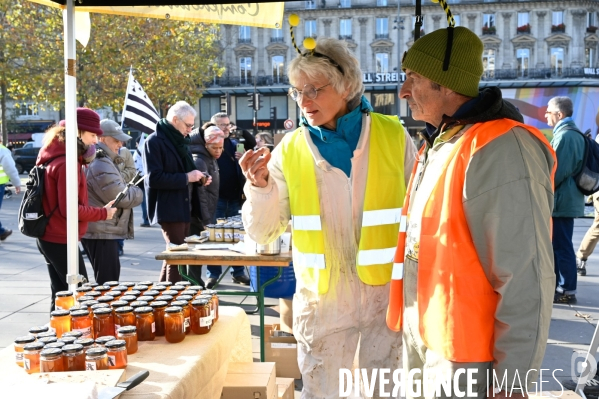 Les apicultrices et apiculteurs en colère manifestent à Paris pour demander des prix rémunérateurs en apiculture.