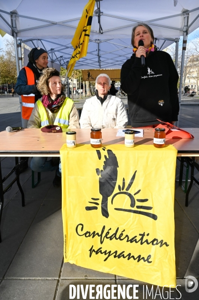 Les apicultrices et apiculteurs en colère manifestent à Paris pour demander des prix rémunérateurs en apiculture.