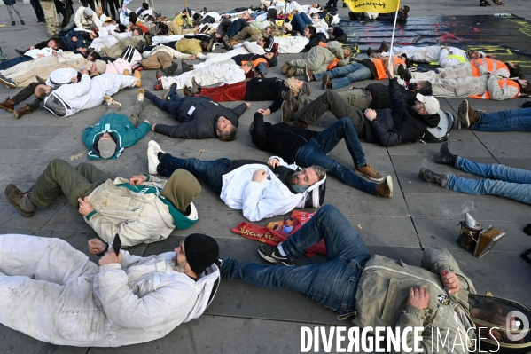 Les apicultrices et apiculteurs en colère manifestent à Paris pour demander des prix rémunérateurs en apiculture.
