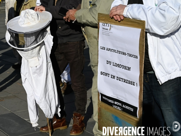 Les apicultrices et apiculteurs en colère manifestent à Paris pour demander des prix rémunérateurs en apiculture.