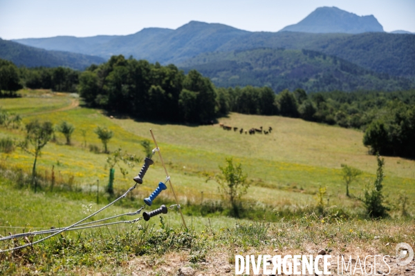 Paturage tournant dynamique