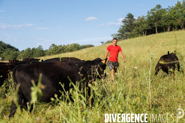 Paturage tournant dynamique