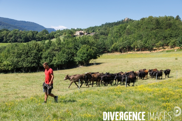 Paturage tournant dynamique