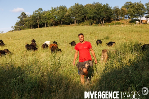Paturage tournant dynamique