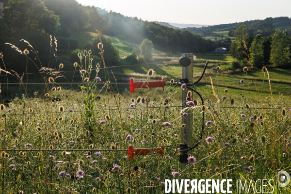 Paturage tournant dynamique