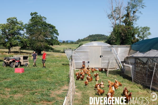 Paturage tournant dynamique