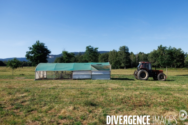 Paturage tournant dynamique