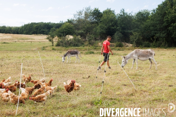 Paturage tournant dynamique
