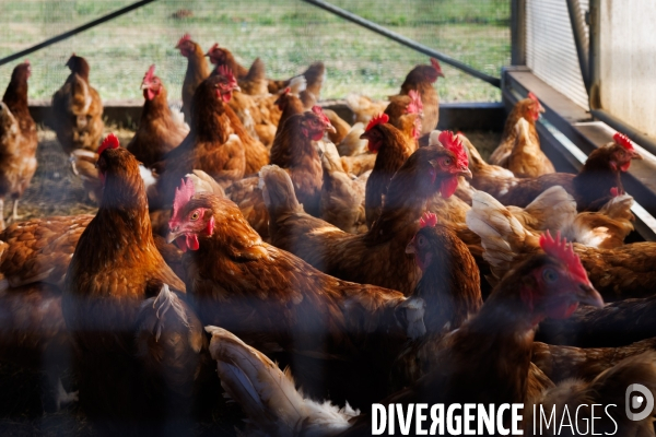 Paturage tournant dynamique