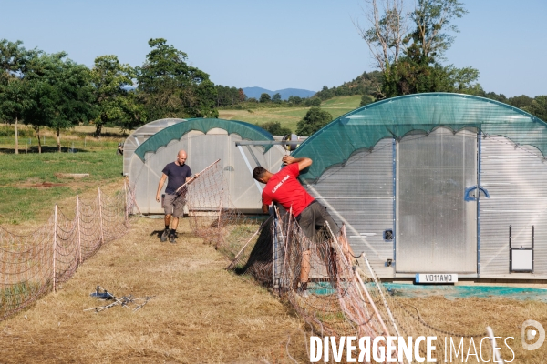 Paturage tournant dynamique
