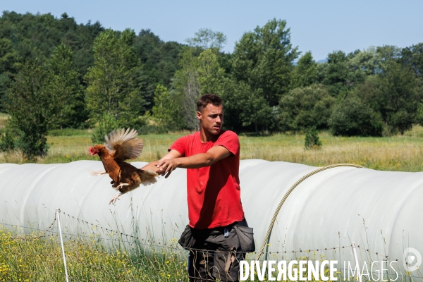 Paturage tournant dynamique