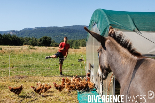 Paturage tournant dynamique
