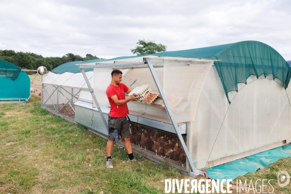 Paturage tournant dynamique