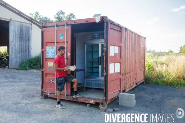 Paturage tournant dynamique
