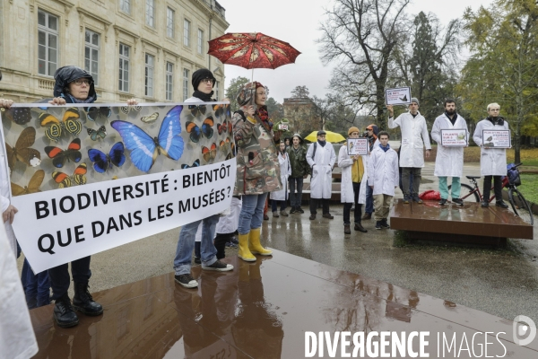 La COP alternative de Scientifiques en rébellion à Bordeaux