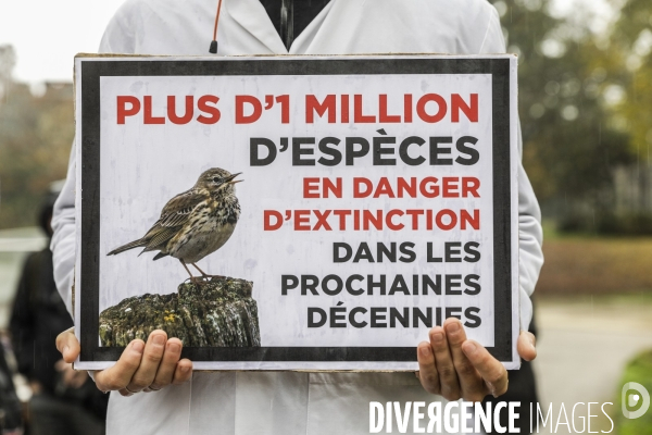 La COP alternative de Scientifiques en rébellion à Bordeaux
