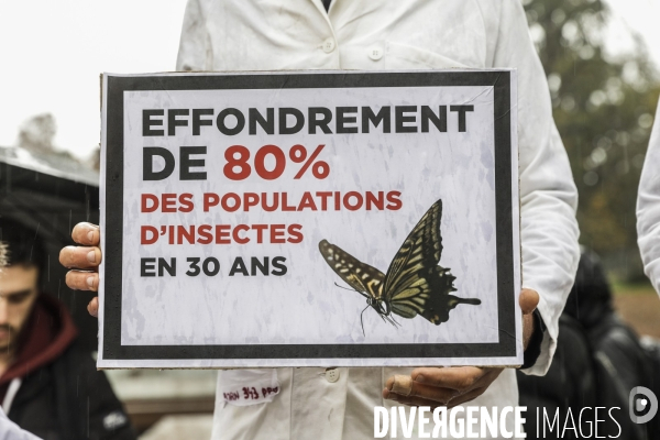 La COP alternative de Scientifiques en rébellion à Bordeaux
